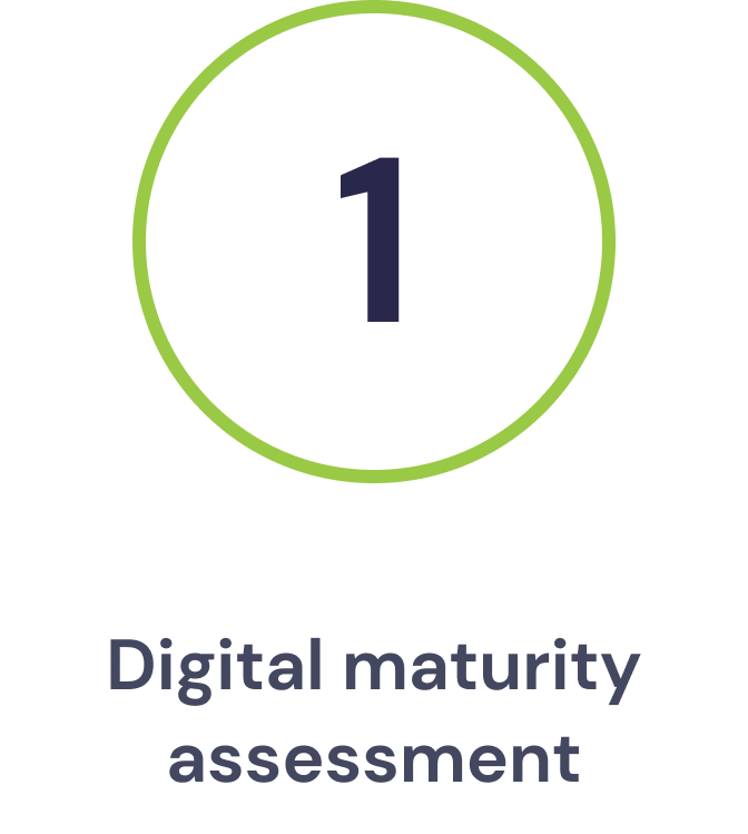 Step 1: Digital Maturity Assessment